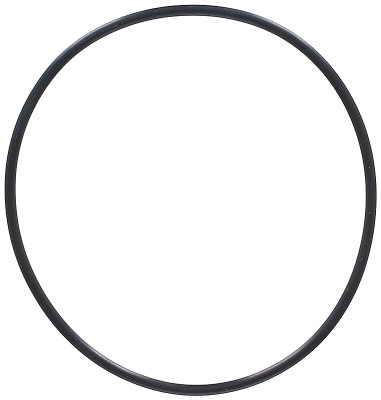 Afdichtring Elring 794.570