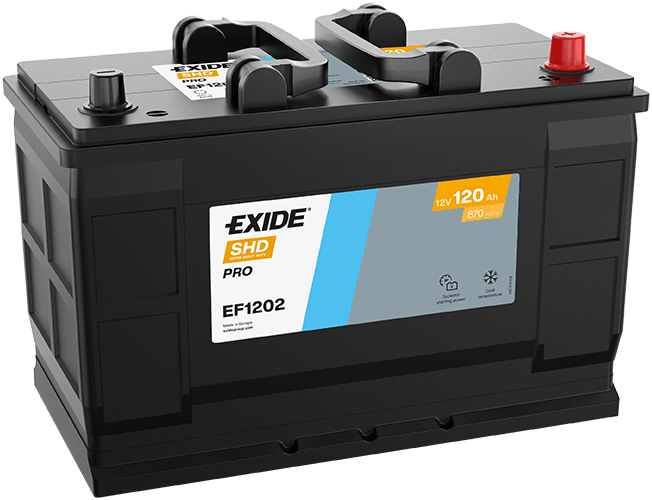 Accu Exide EF1202