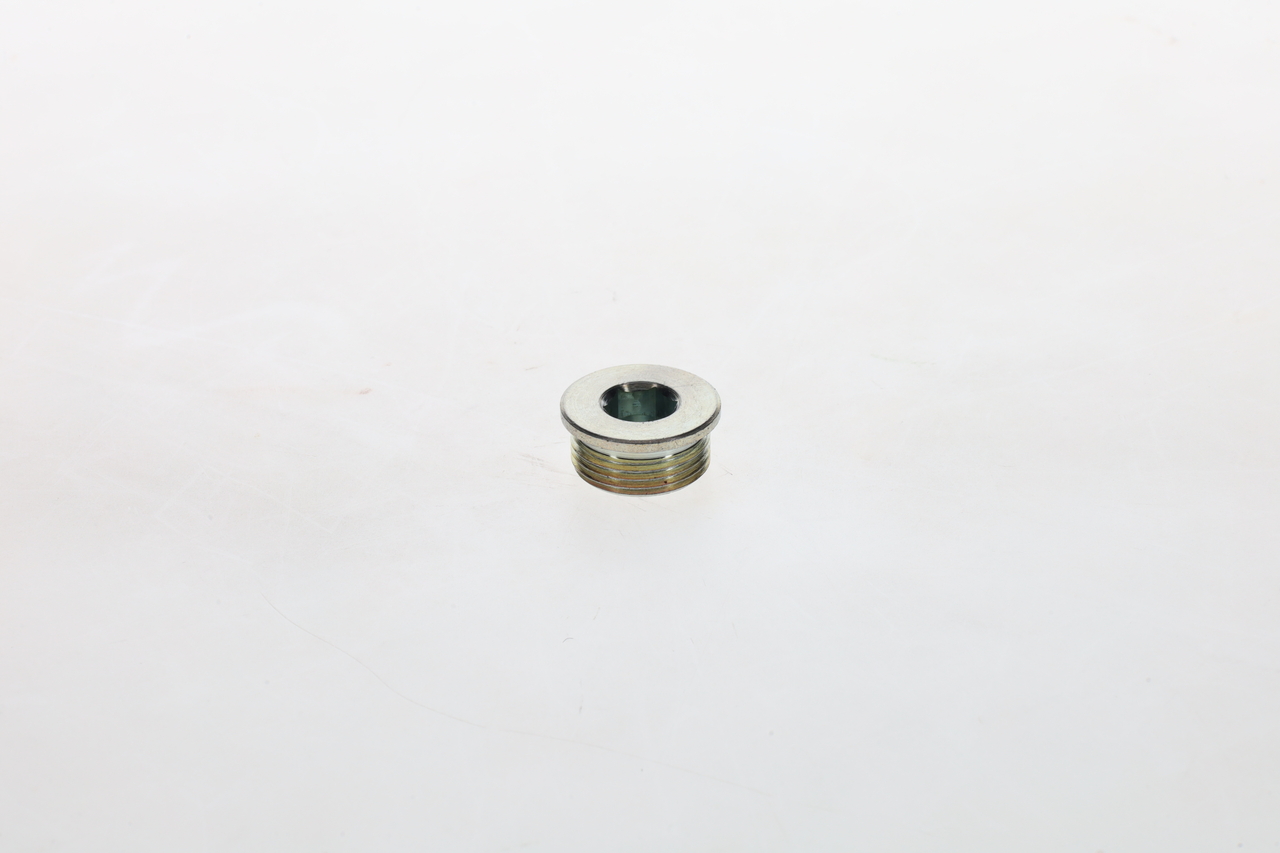 Schroef Bosch 1 423 462 099