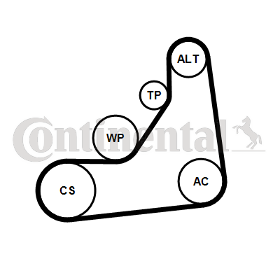 Poly V-riemen kit Contitech 6PK1153K5