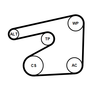 Poly V-riem set Contitech 6PK1555K5