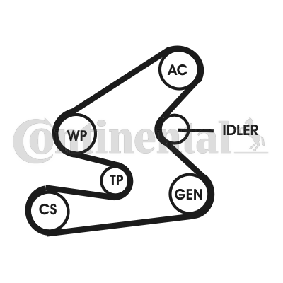 Poly V-riemen kit Contitech 6PK1623D1