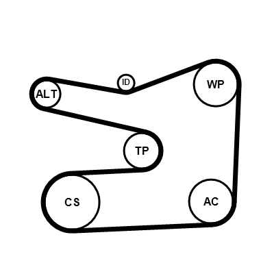 Poly V-riem set Contitech 6PK1635K1