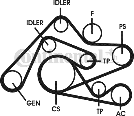 Poly V-riemen kit Contitech 6PK2404D2