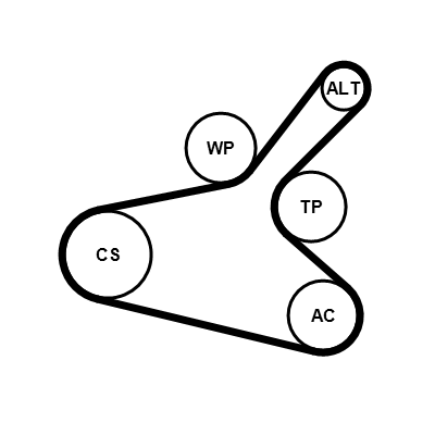Poly V-riem set Contitech 7PK1145K1