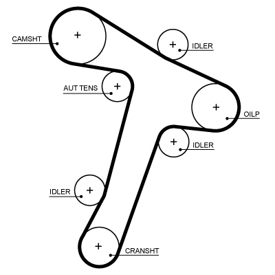 Getande riem Gates 5725XS