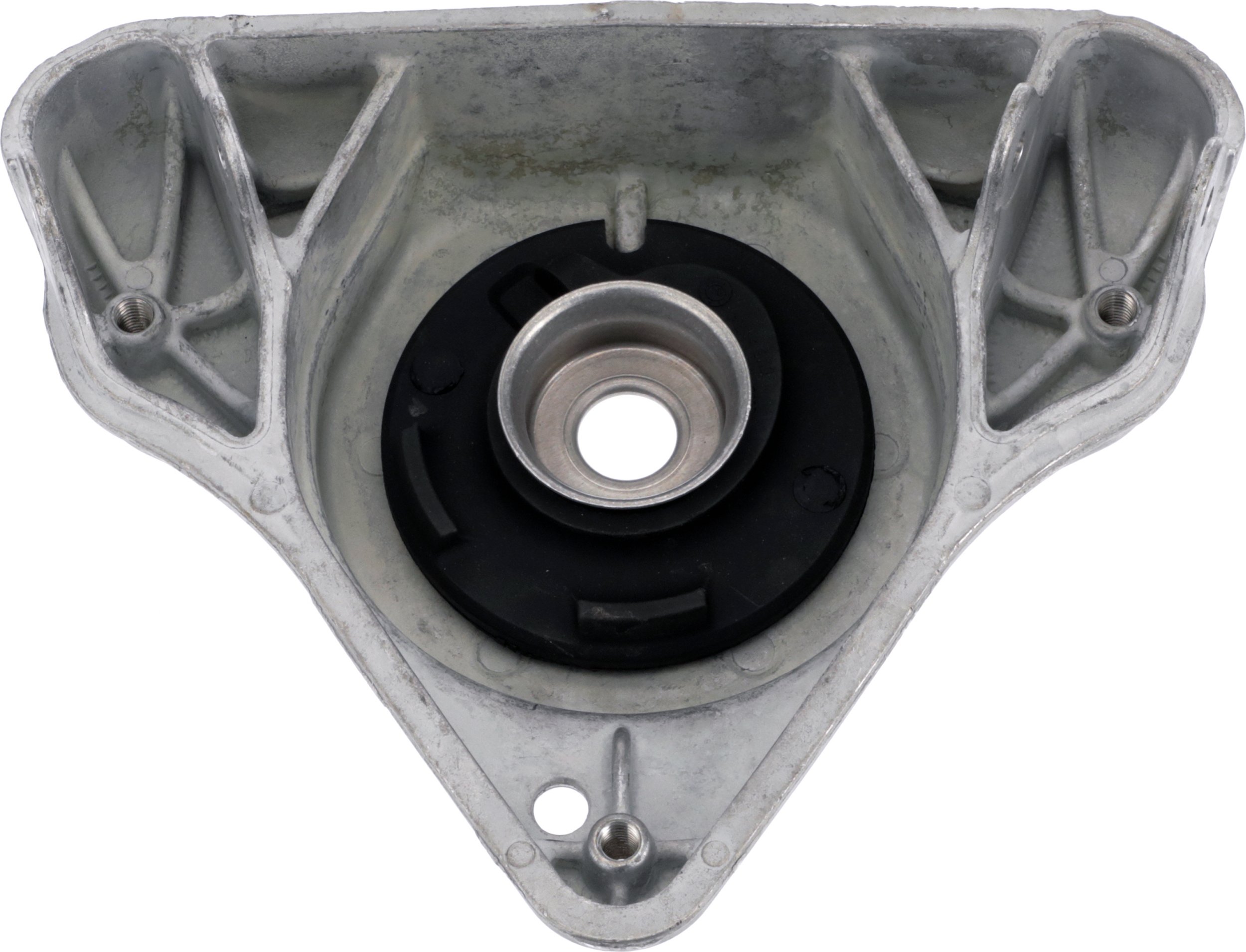 Veerpoot Gates SUS1451