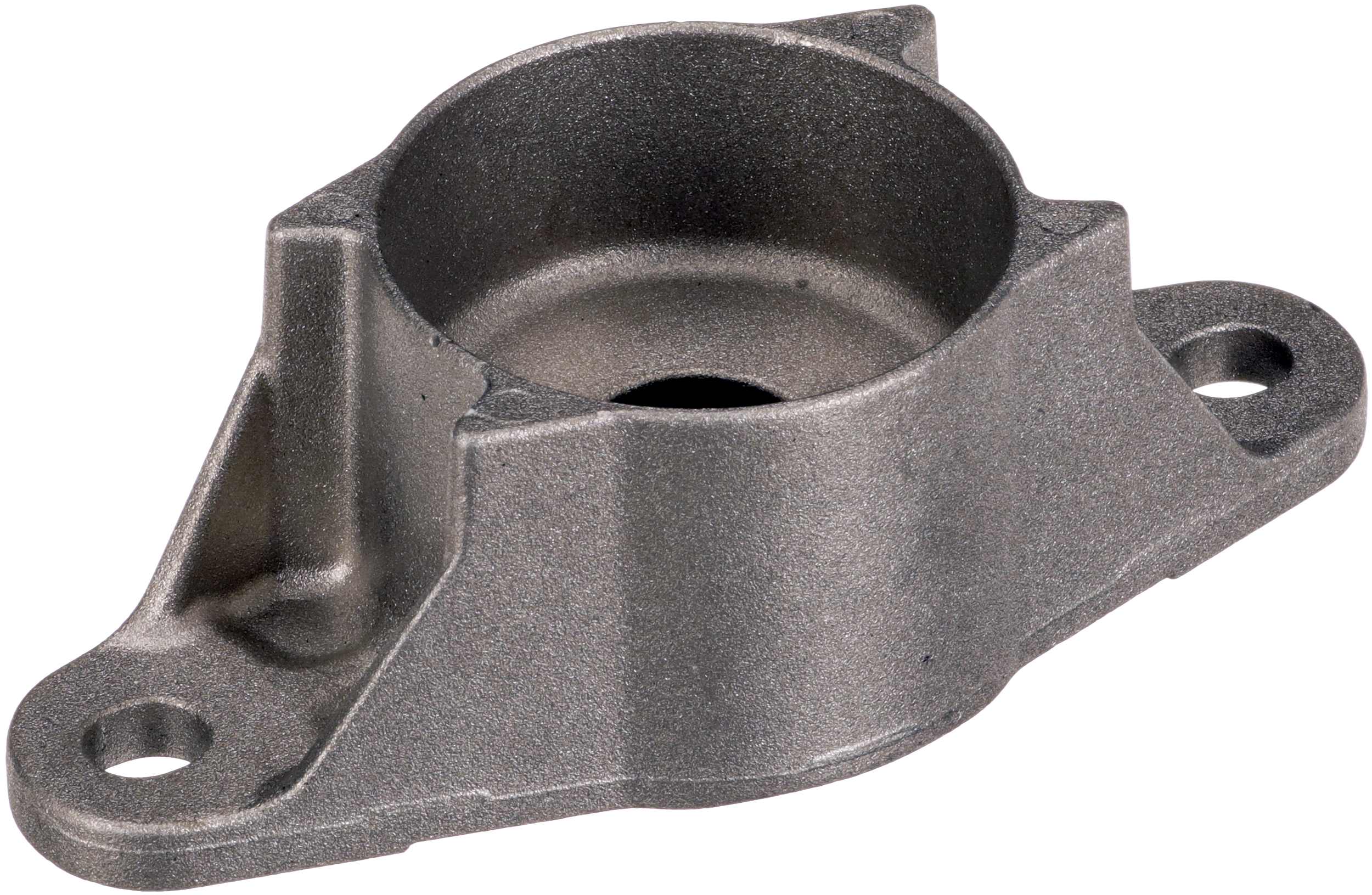 Veerpoot Gates SUS1882