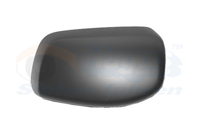 Buitenspiegelkap rechts HAGUS Van Wezel 0655844