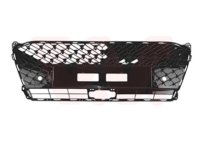 Radiateurgrille Van Wezel 5418514