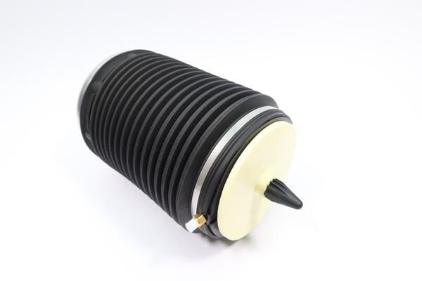 Luchtvering, chassis Monroe ASP018