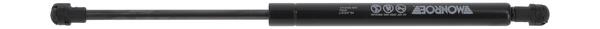 Gasveer, kofferruimte Monroe ML6587
