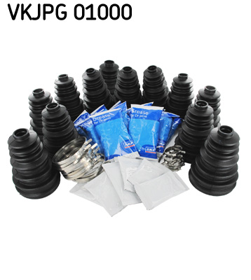 Asmanchet SKF VKJPG 01000