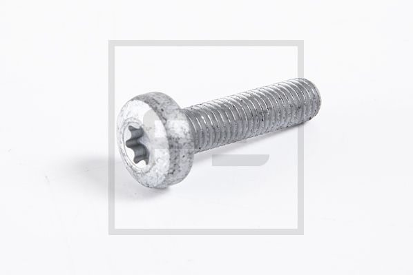Schroef Pe Automotive 010.863-10A