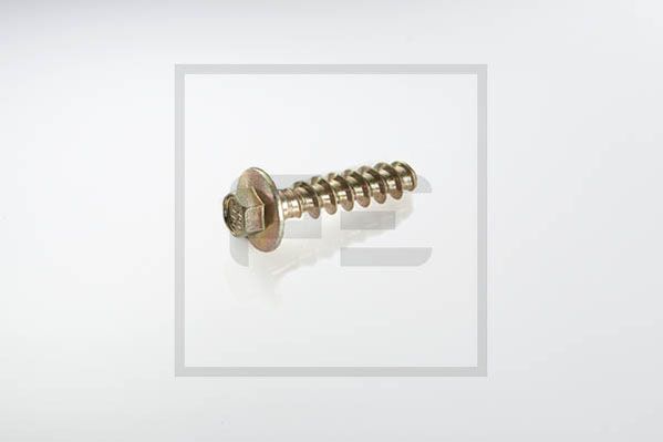 Schroef Pe Automotive 065.103-00A