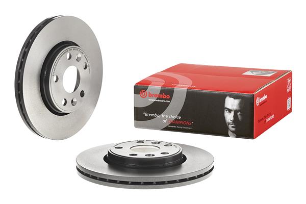 Remschijven Brembo 09.8137.31