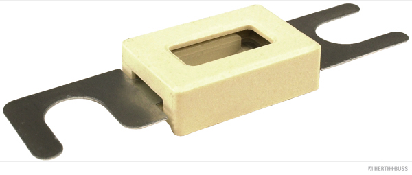 Zekering Herth+Buss Elparts 50295292