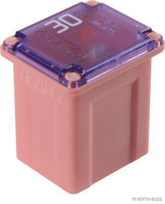 Zekering Herth+Buss Elparts 50295332