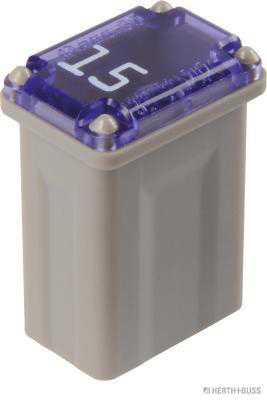 Zekering Herth+Buss Elparts 50295339