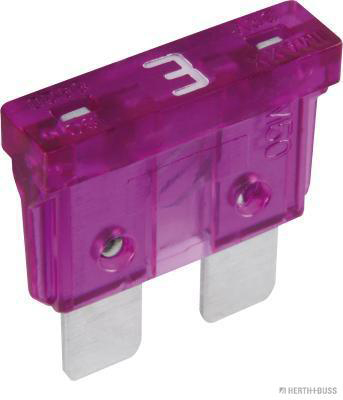 Zekering Herth+Buss Elparts 50295403066