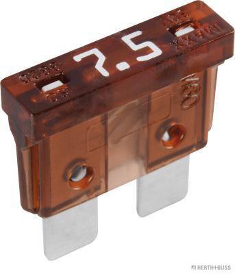 Zekering Herth+Buss Elparts 50295407