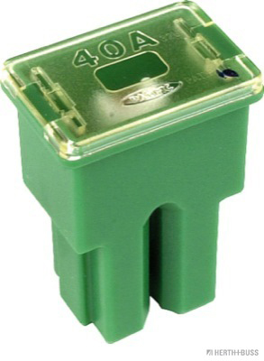 Zekering Herth+Buss Elparts 50295434