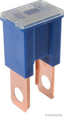 Zekering Herth+Buss Elparts 50295449