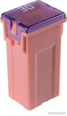 Zekering Herth+Buss Elparts 50295479