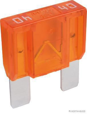 Zekering Herth+Buss Elparts 50295544066