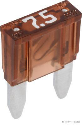 Zekering Herth+Buss Elparts 50295576066