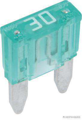 Zekering Herth+Buss Elparts 50295581066