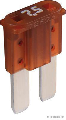 Zekering Herth+Buss Elparts 50295646