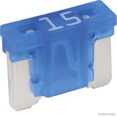 Zekering Herth+Buss Elparts 50295796