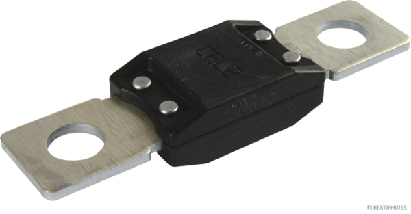 Zekering Herth+Buss Elparts 50295842