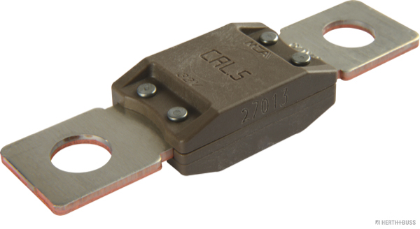 Zekering Herth+Buss Elparts 50295845