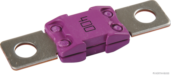 Zekering Herth+Buss Elparts 50295875