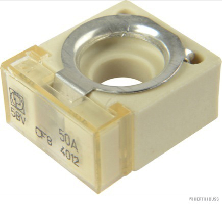 Zekering Herth+Buss Elparts 50295880