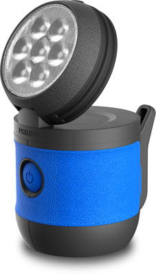 Looplamp Philips LPL41SPAREX1