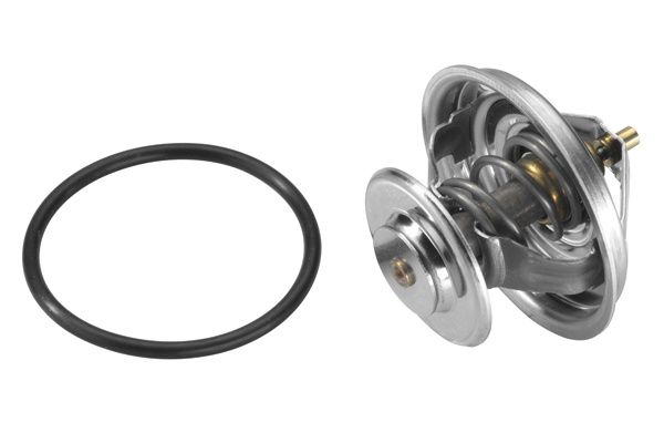 Thermostaat Wahler 4105.65D