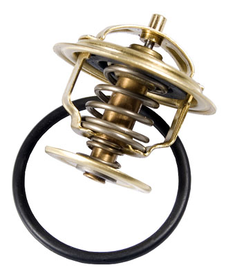 Thermostaat Wahler 4253.87D