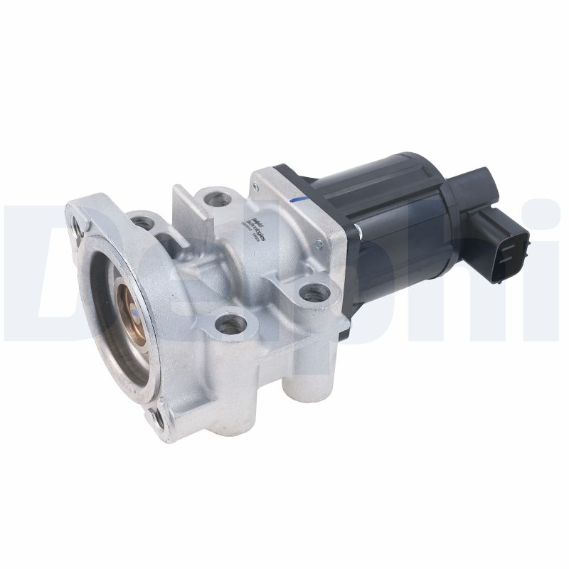 EGR-klep Delphi Diesel EG10510-12B1