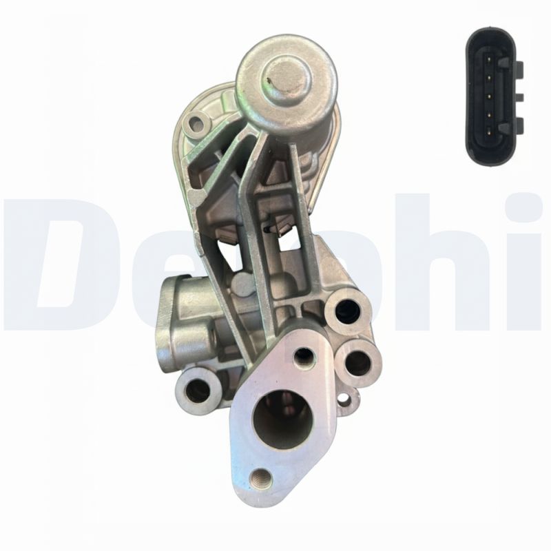EGR-klep Delphi Diesel EG10655-12B1