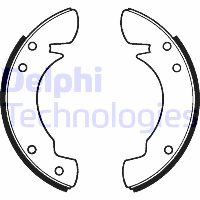 Remschoen set Delphi Diesel LS1019