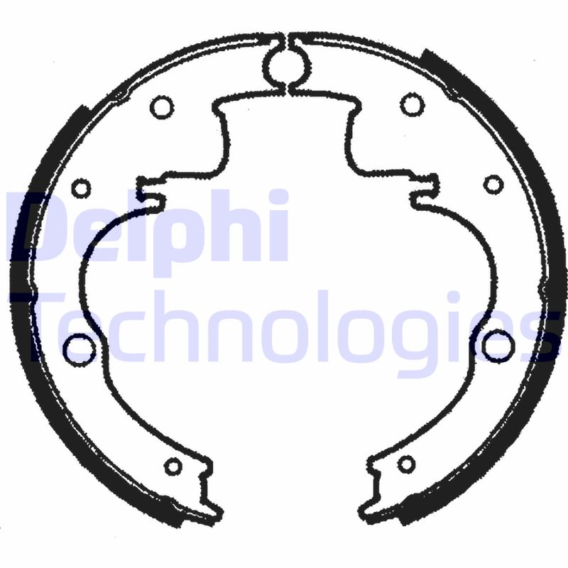 Remschoen set Delphi Diesel LS1073