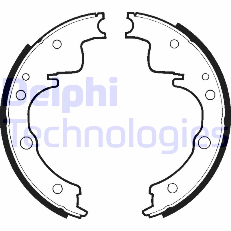 Remschoen set Delphi Diesel LS1270
