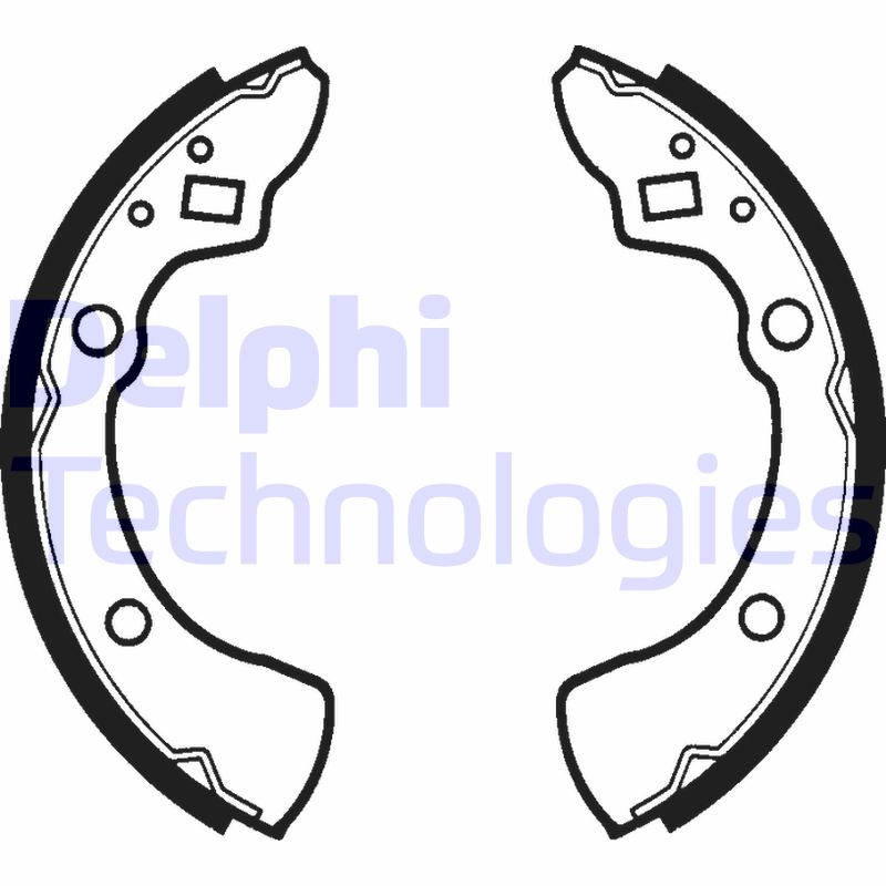 Remschoen set Delphi Diesel LS1278