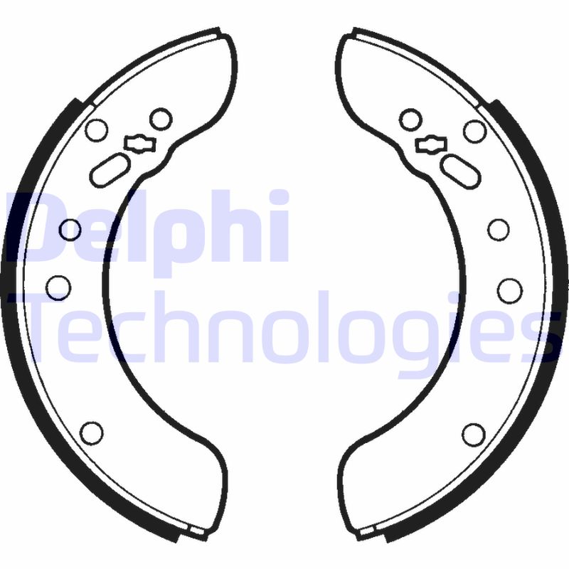 Remschoen set Delphi Diesel LS1309