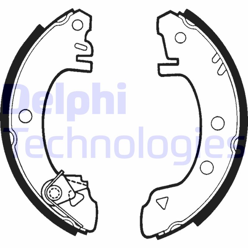 Remschoen set Delphi Diesel LS1321