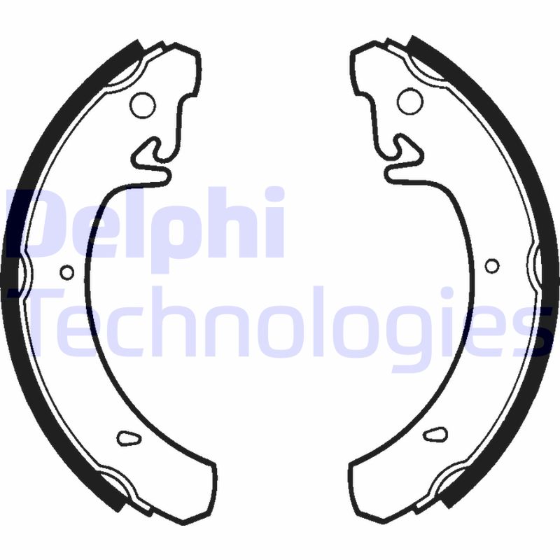 Remschoen set Delphi Diesel LS1323
