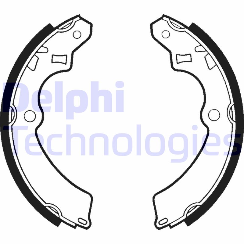 Remschoen set Delphi Diesel LS1331